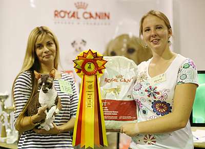 �������� ����� '���-�����-��������' 20-21 �������� 2014 2-186-169A1772 copy.jpg